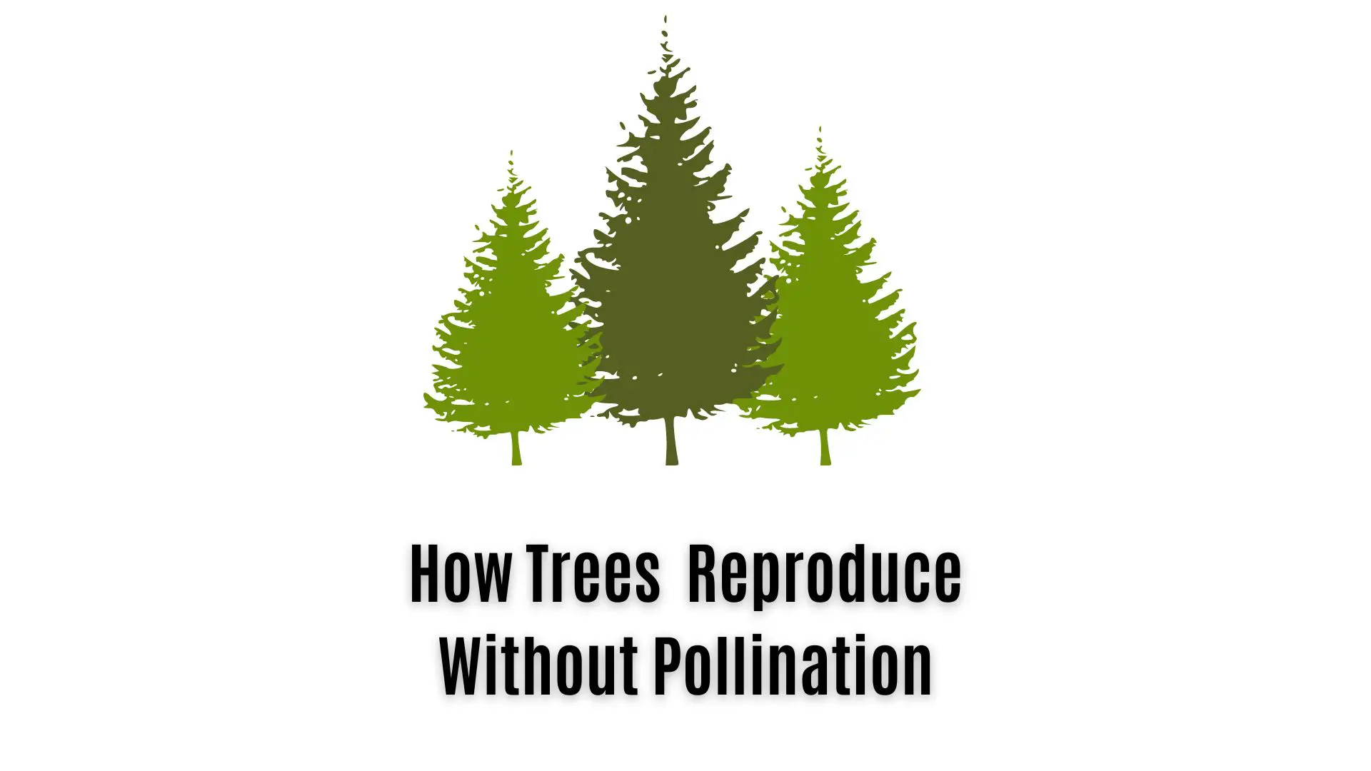 Trees Can Reproduce Without Pollination