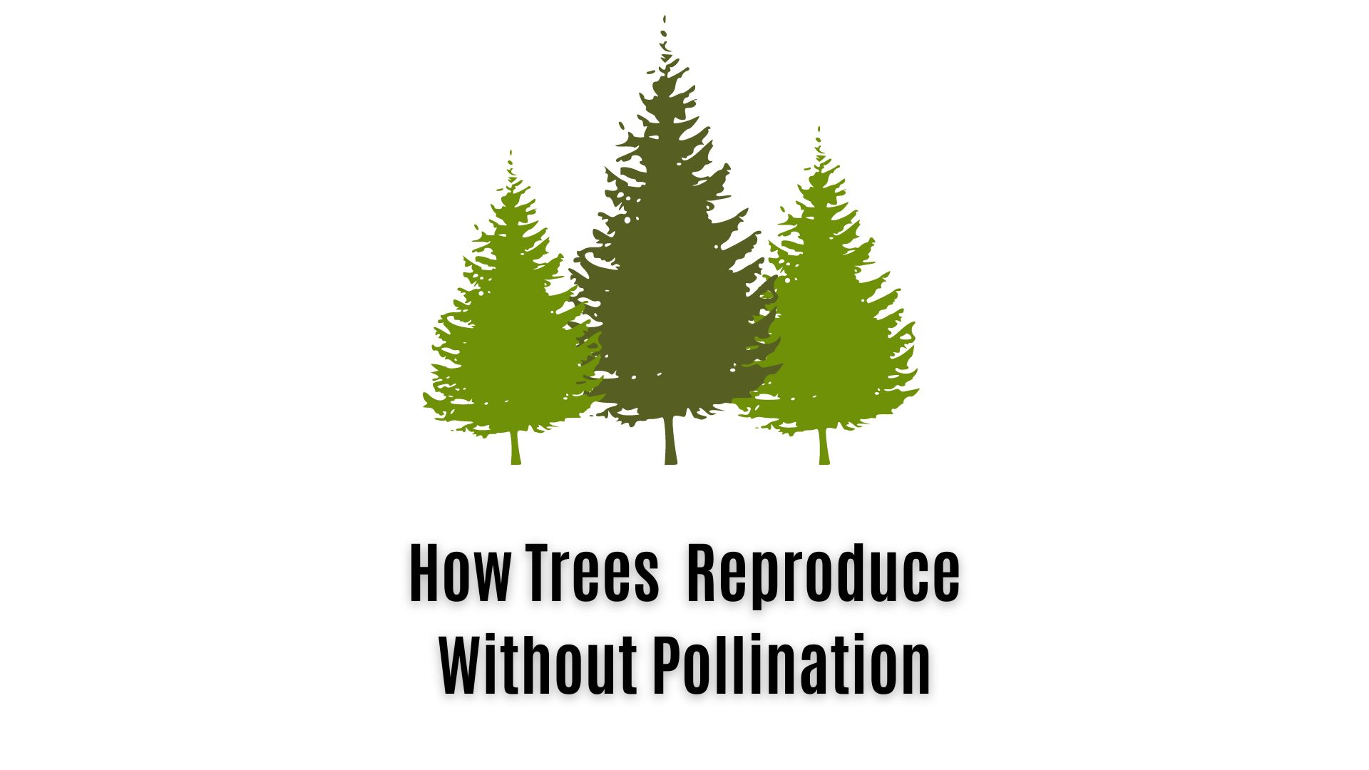 Trees Can Reproduce Without Pollination