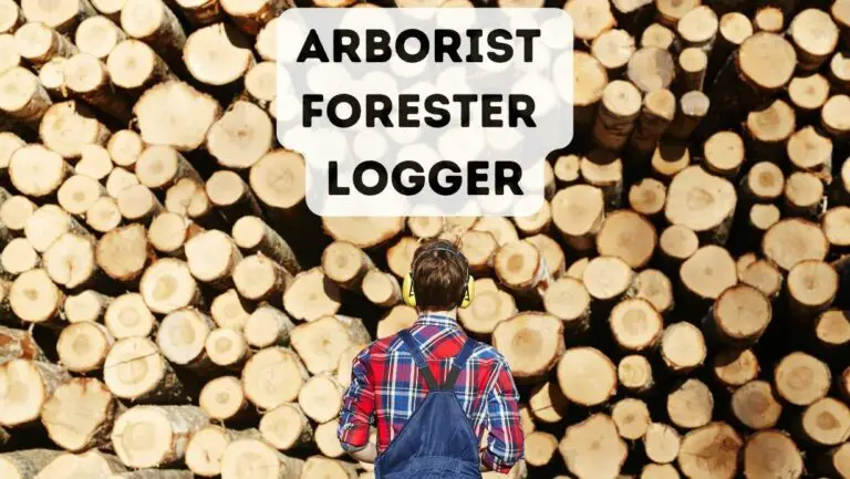 Arborist Vs Forester Vs Logger: What Are the Differences?