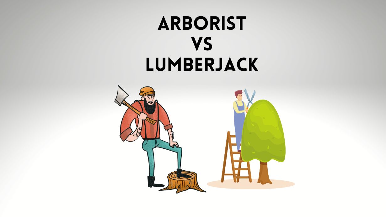 Arborist vs Lumberjack