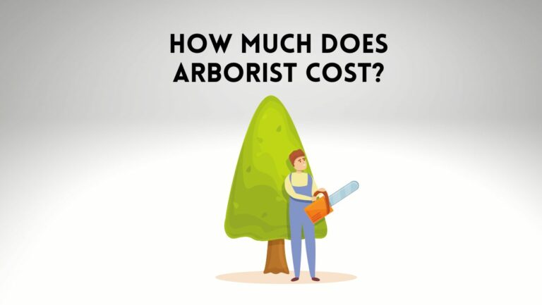 How Much Does Arborist Cost? [Inspection Fees, Services & More]