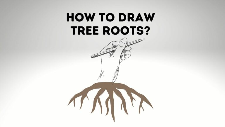 How To Draw Tree Roots for Beginners and Kids