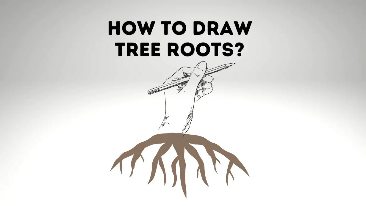 How To Draw Tree Roots