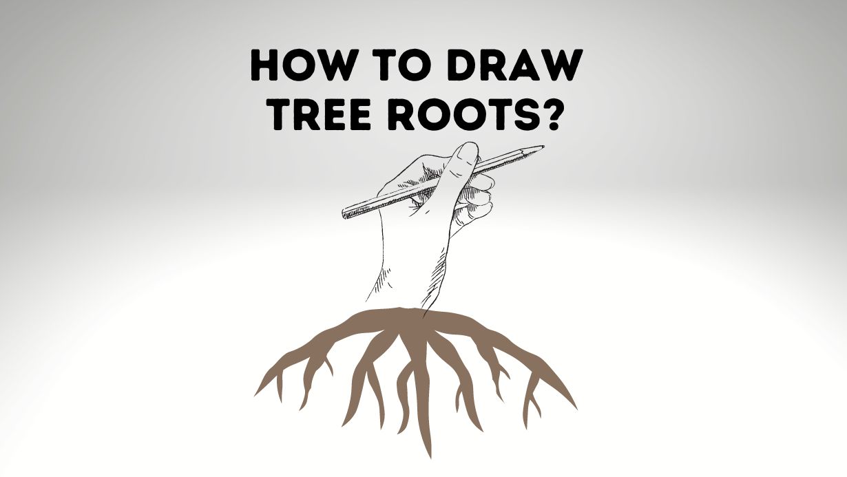 How To Draw Tree Roots for Beginners and Kids Everything Arboriculture