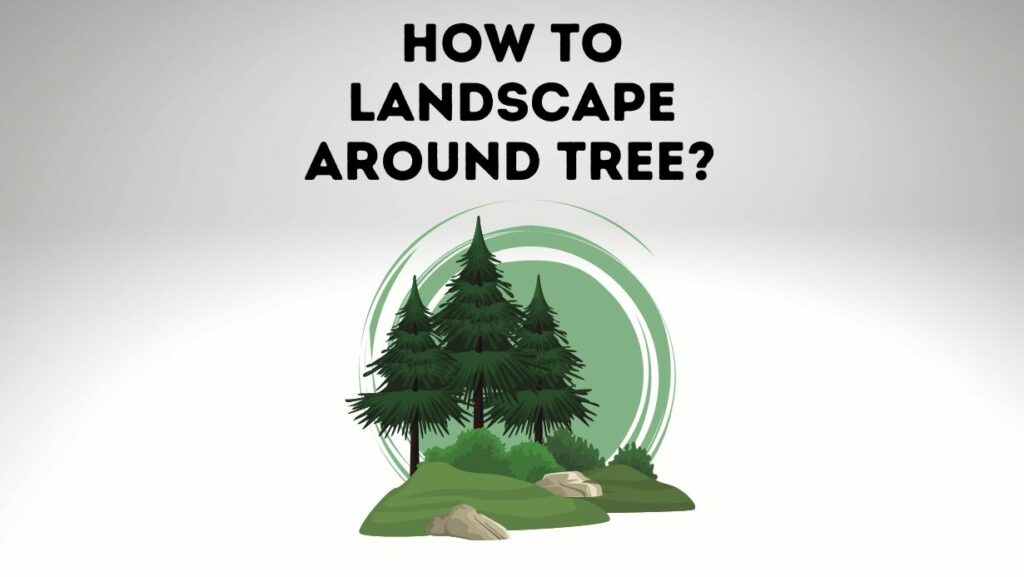 How To Landscape Around A Tree With Exposed Roots Everything