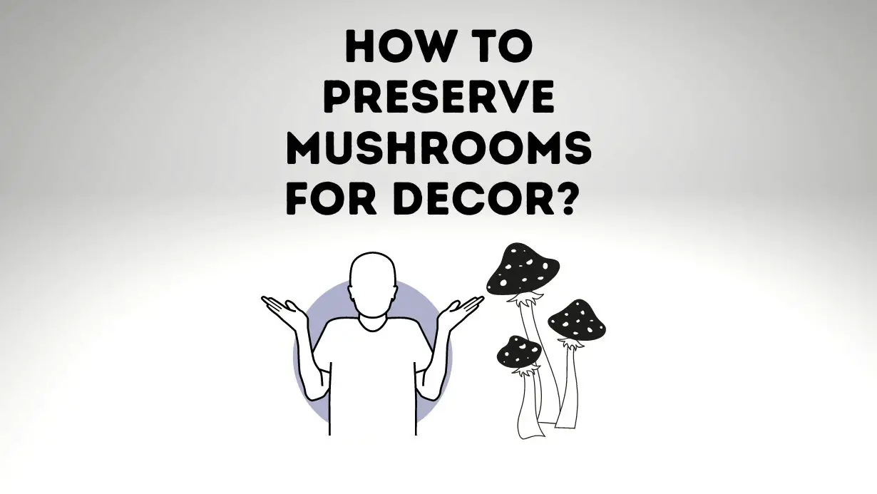 How to Preserve Mushrooms for decor