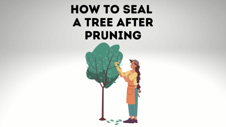 How to Seal a Tree After Pruning (Hint… You Don’t)