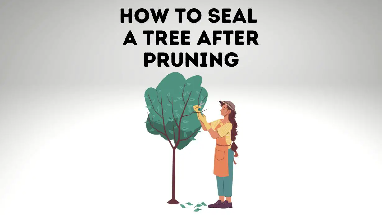 How to Seal a Tree After Pruning