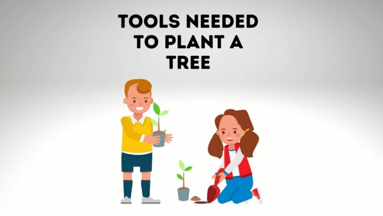 10 Tools and Equipment You Need to Plant a Tree