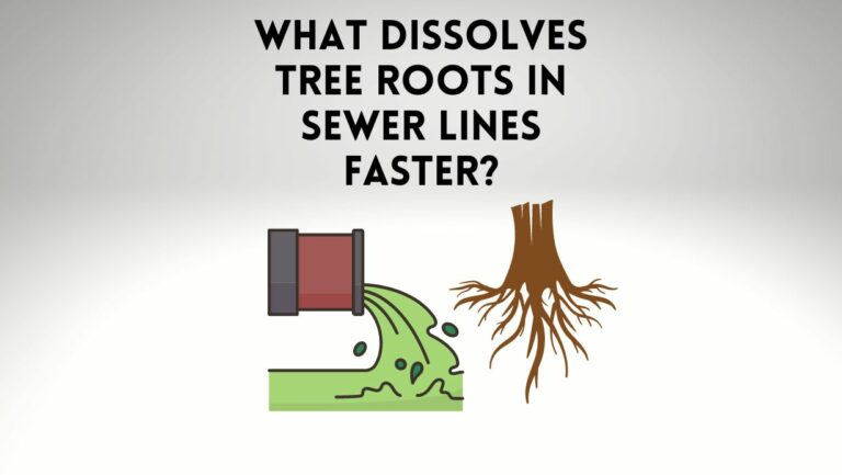 What Dissolves Tree Roots In Sewer Lines? [Solved]