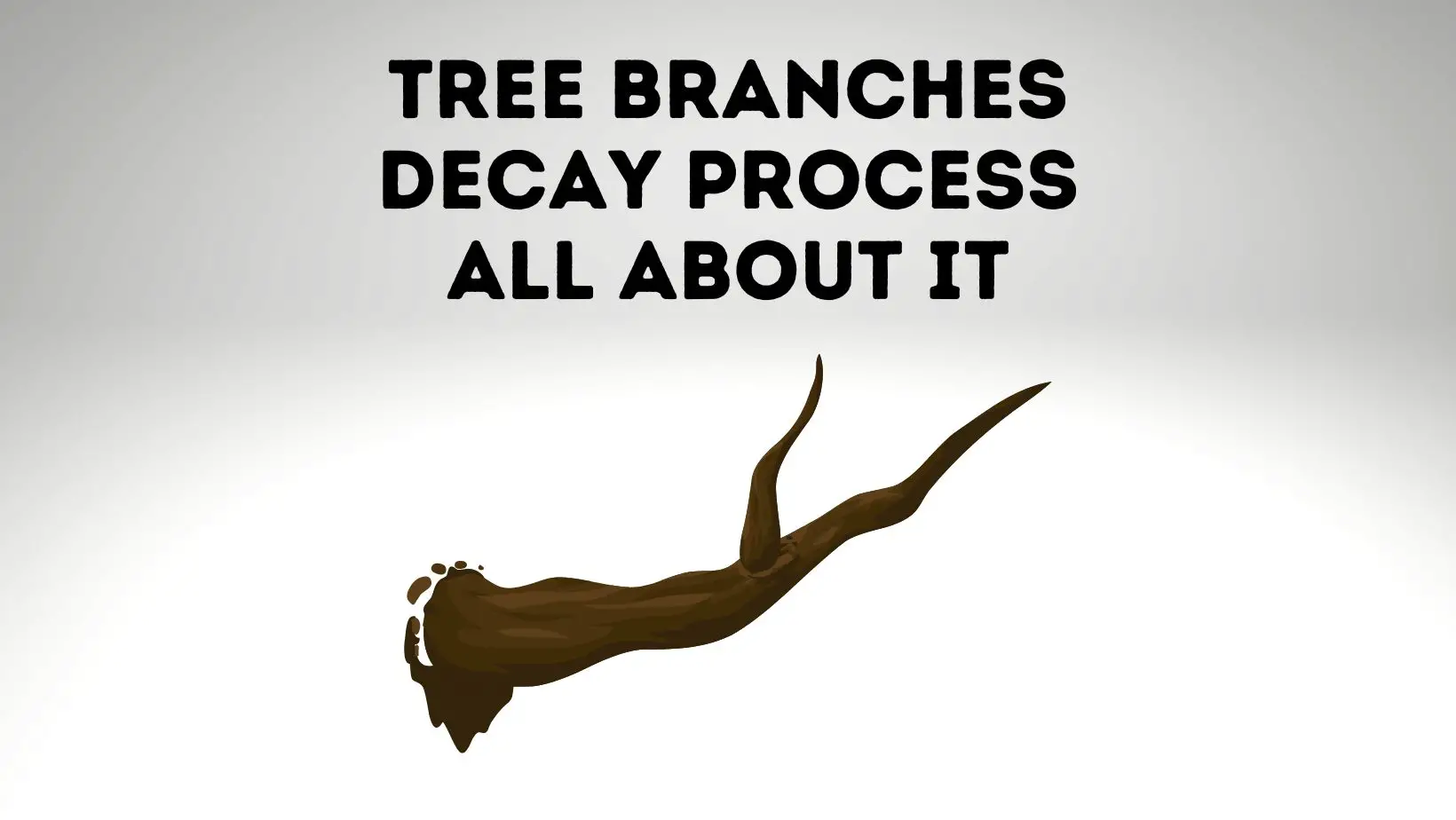 Tree Branches Decomposition