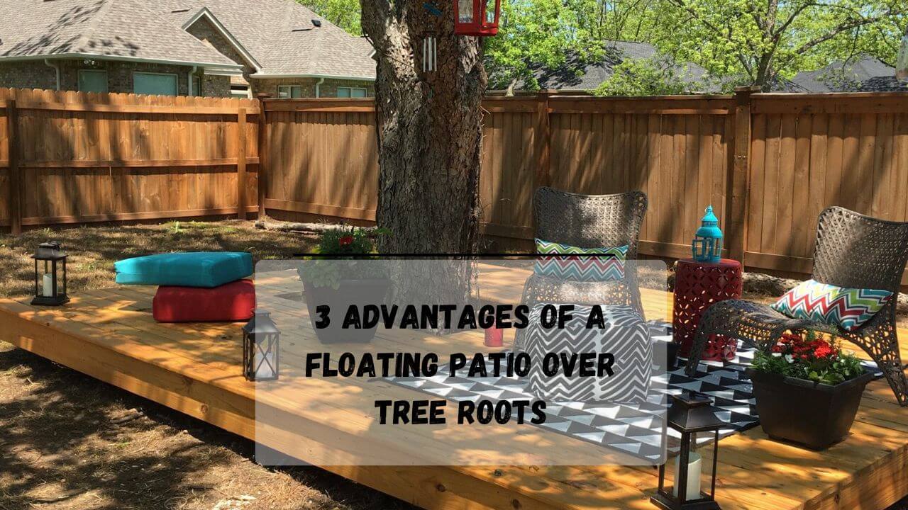 7 Steps To Build A Floating Patio Over Tree Roots Pros & Cons Everything Arboriculture