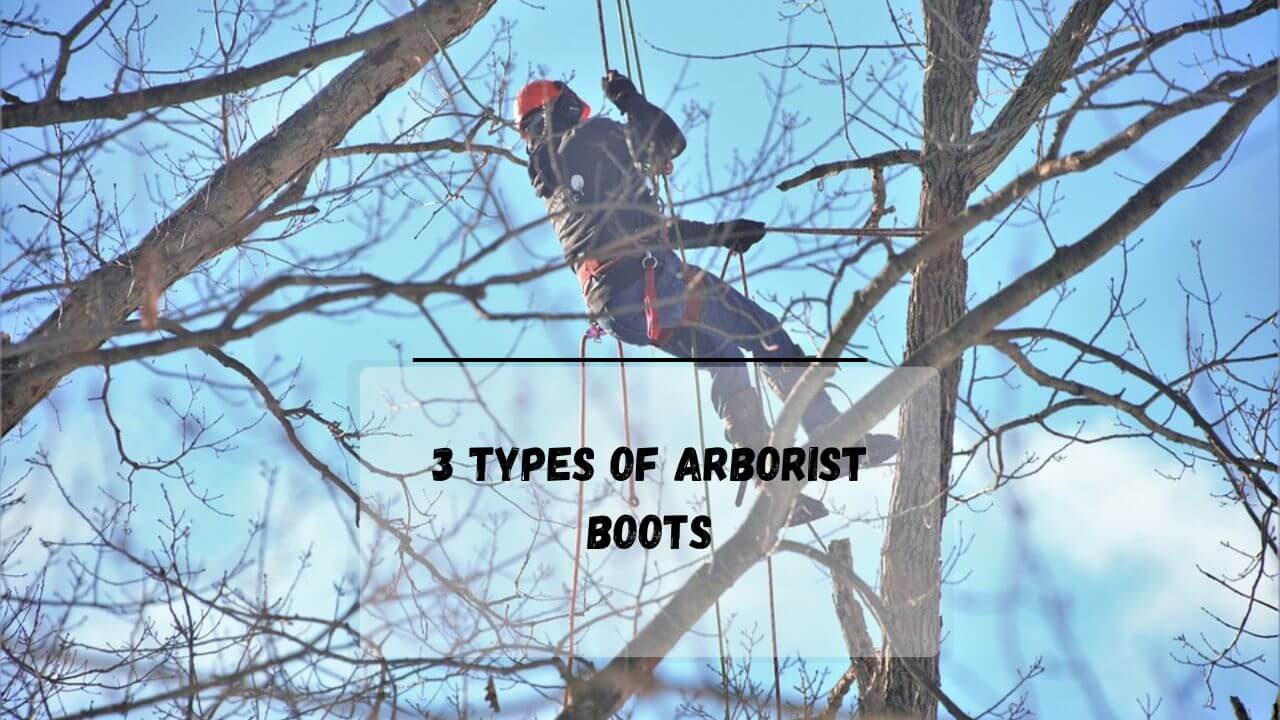 5 Best Arborist Boots Working, Climbing & Chainsaw Boots Everything