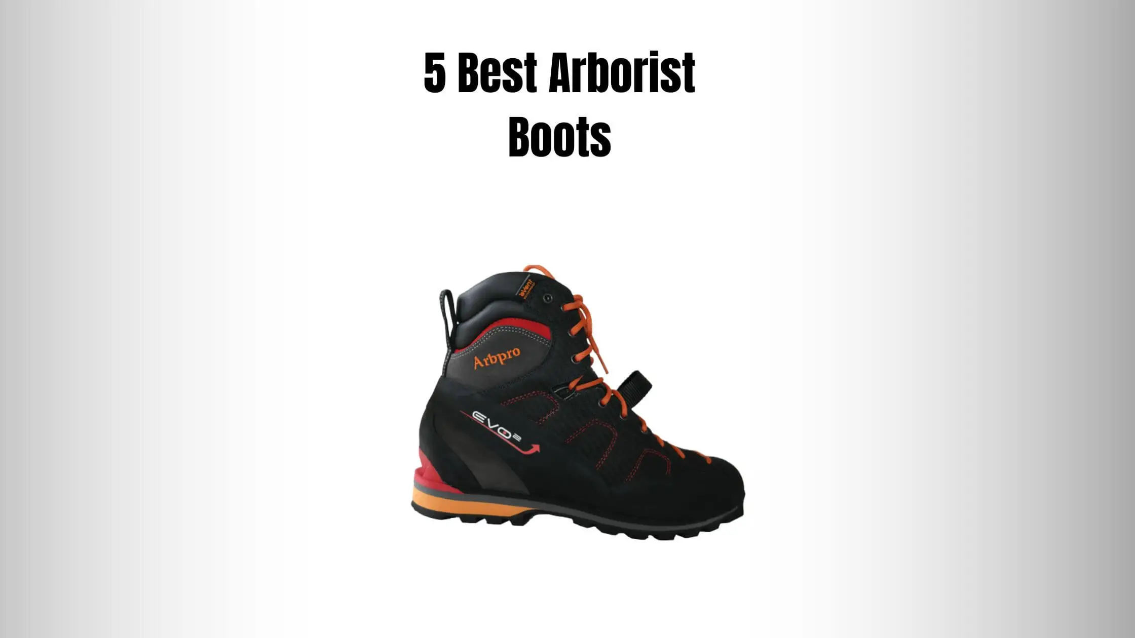 5 Best Arborist Boots