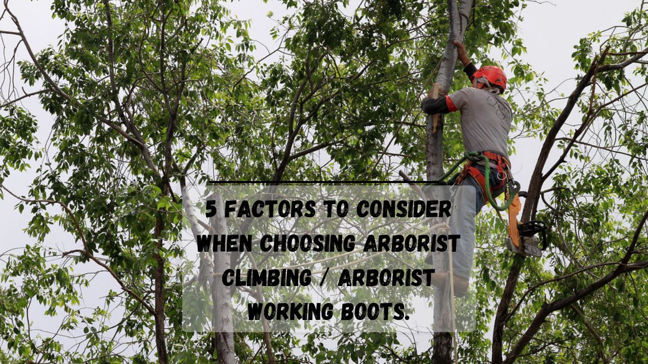 5 Best Arborist Boots Working, Climbing & Chainsaw Boots Everything Arboriculture