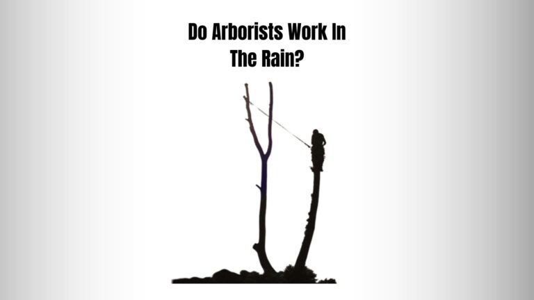 Do Arborists Work In The Rain? 3 ‘Imp’ Arborist Rain Gears