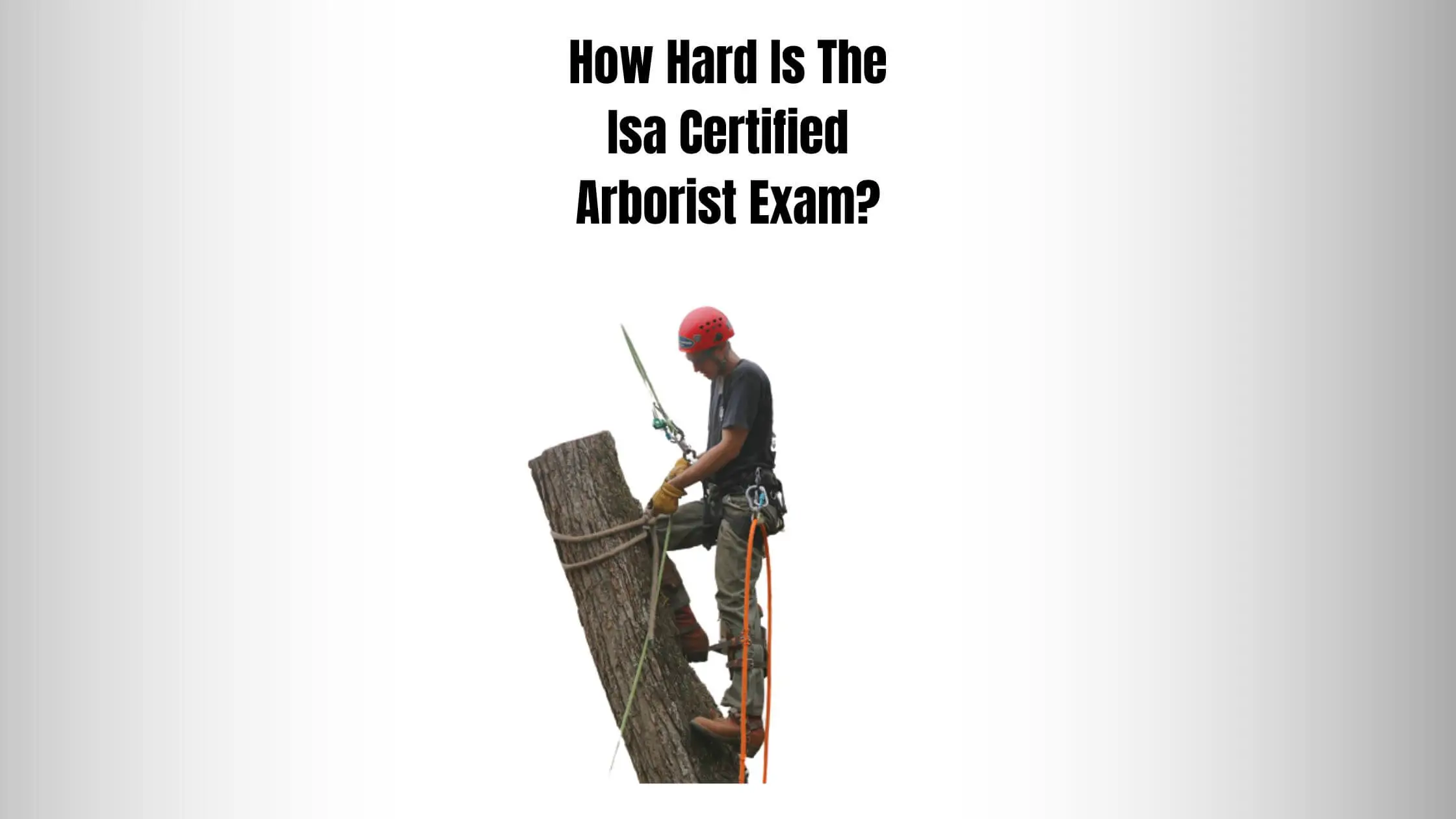 How Hard Is The Isa Certified Arborist Exam?