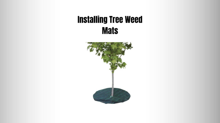 Installing Tree Weed Mats: 3 Pros & Cons Of Using One!