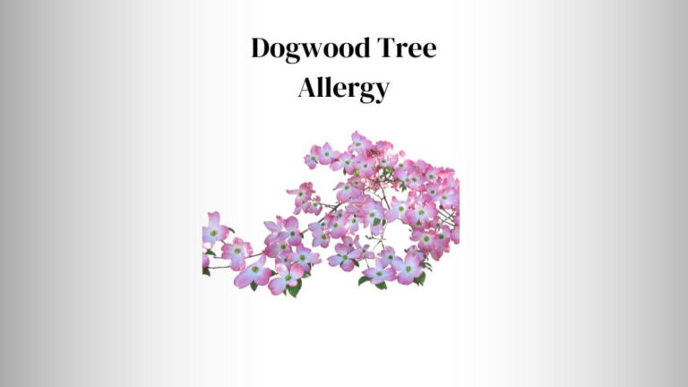 Dogwood Tree Allergy: Rash & Pollens 101 Guide
