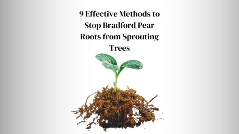 How to Stop Bradford Pear Roots from Sprouting Trees: 9 Effective Methods