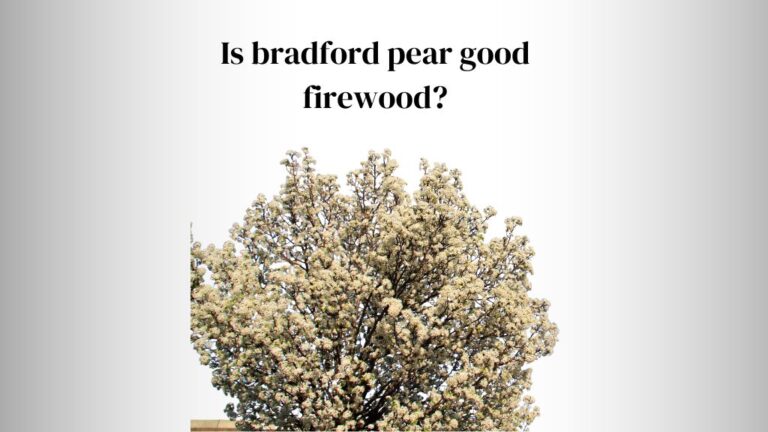 Is Bradford Pear Good Firewood? (5 Benefits)