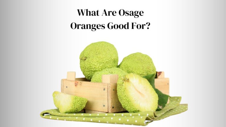 What Are Osage Oranges Good For? (5 Critical Usage)