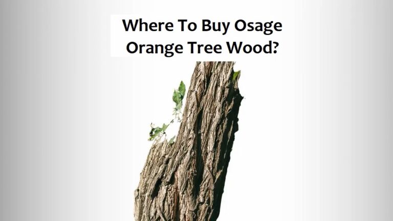 Where To Buy Osage Orange Wood?